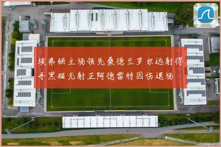 埃弗顿主场领先桑德兰罗尔远射得手黑猫无射正阿德雷特因伤退场